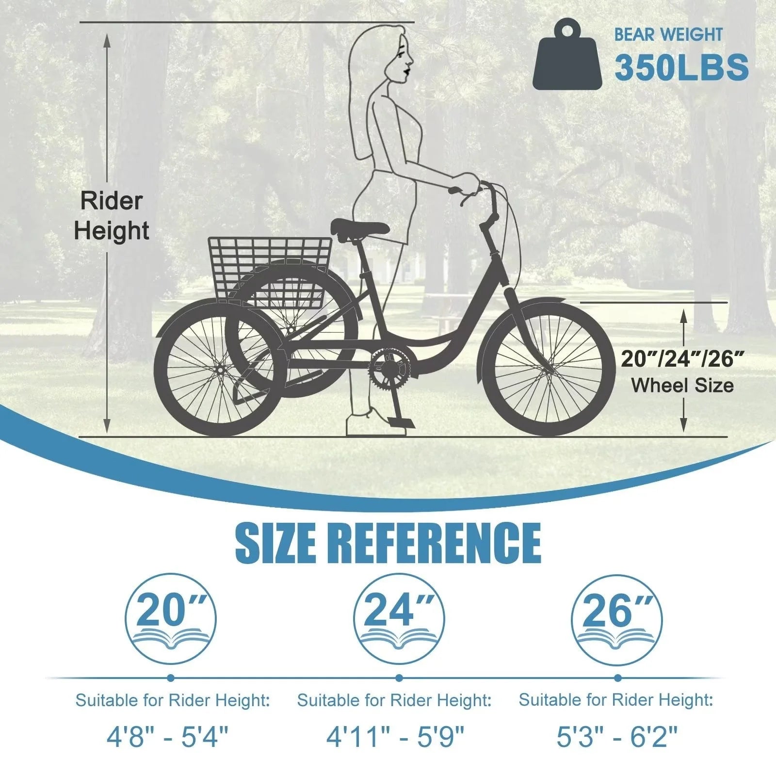 MOPHOTO Adult Tricycle 20/24/26 in 3 Wheel Bicycle, 3 Wheel Bikes for Adults, 7 Speed Low Stepover Frame Tricycle with Basket/Bell, 3 Wheel Bicycle for Seniors, Women, Men