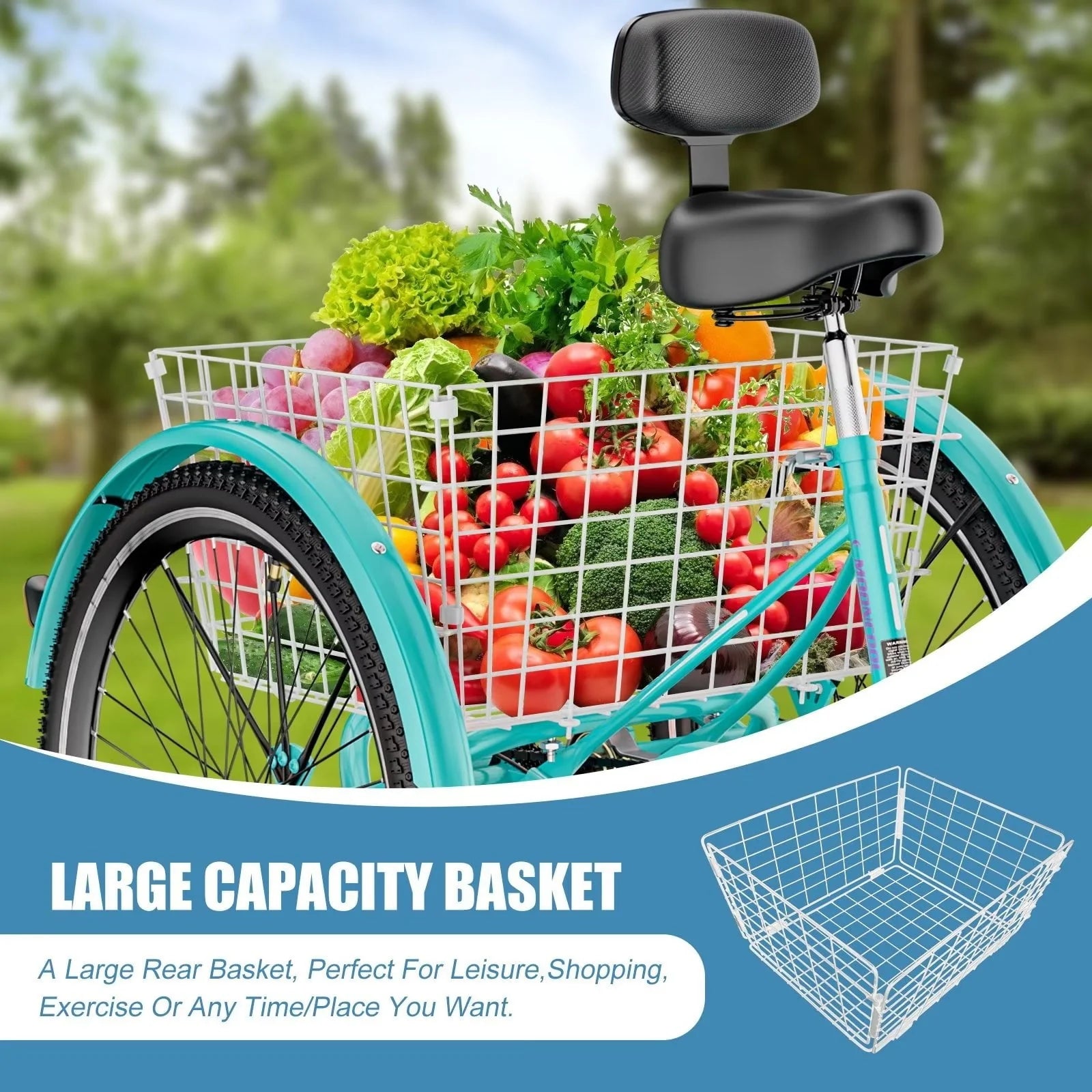 MOPHOTO Adult Tricycle 20/24/26 in 3 Wheel Bicycle, 3 Wheel Bikes for Adults, 7 Speed Low Stepover Frame Tricycle with Basket/Bell, 3 Wheel Bicycle for Seniors, Women, Men