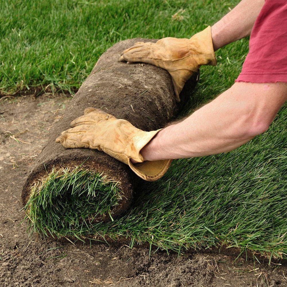 Centipede 500 Sq. Ft. Sod Pallet